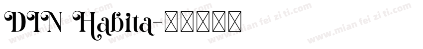 DIN Habita字体转换